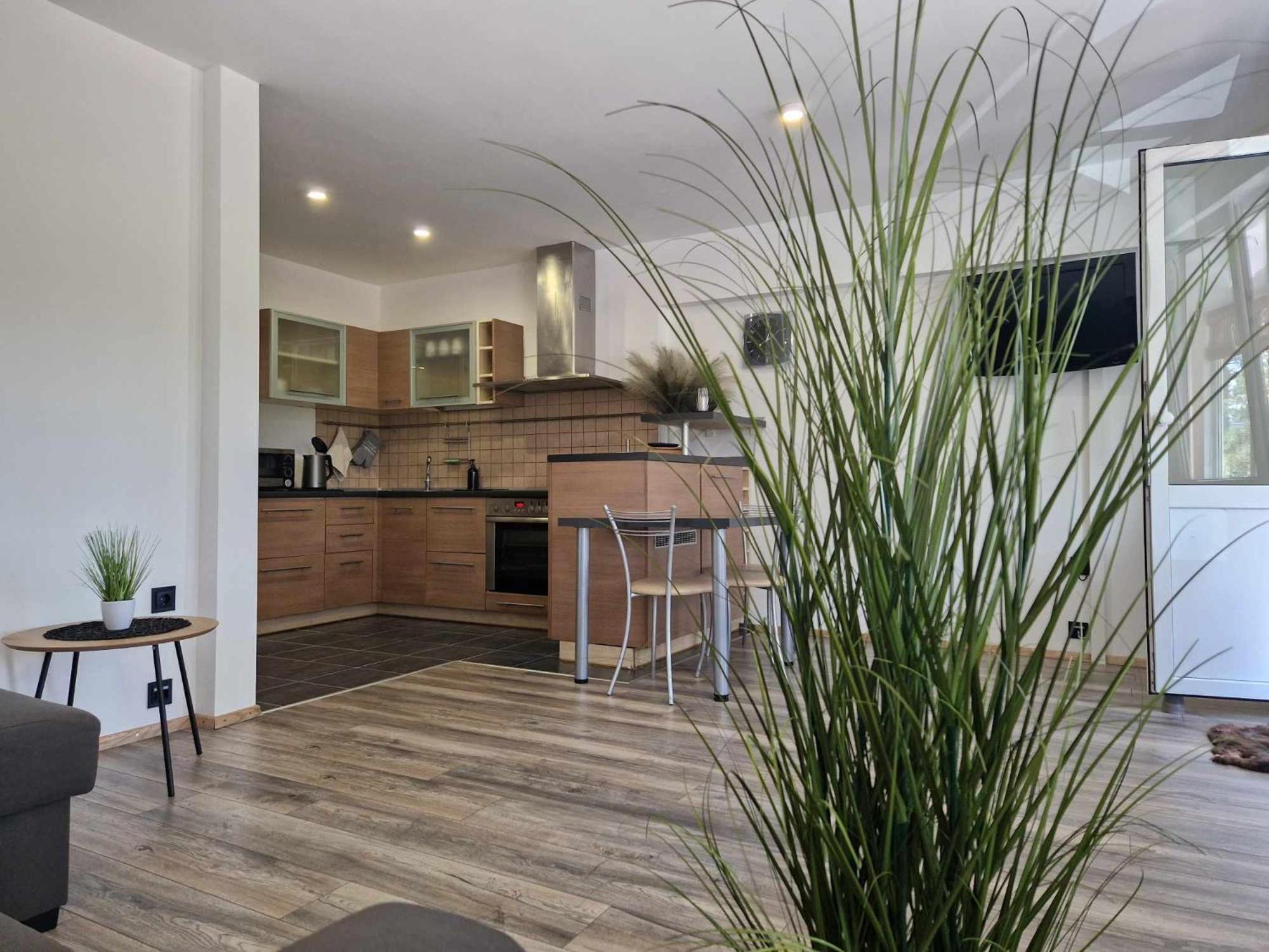 Duplex Apartment Vilte Druskininkai Exterior photo