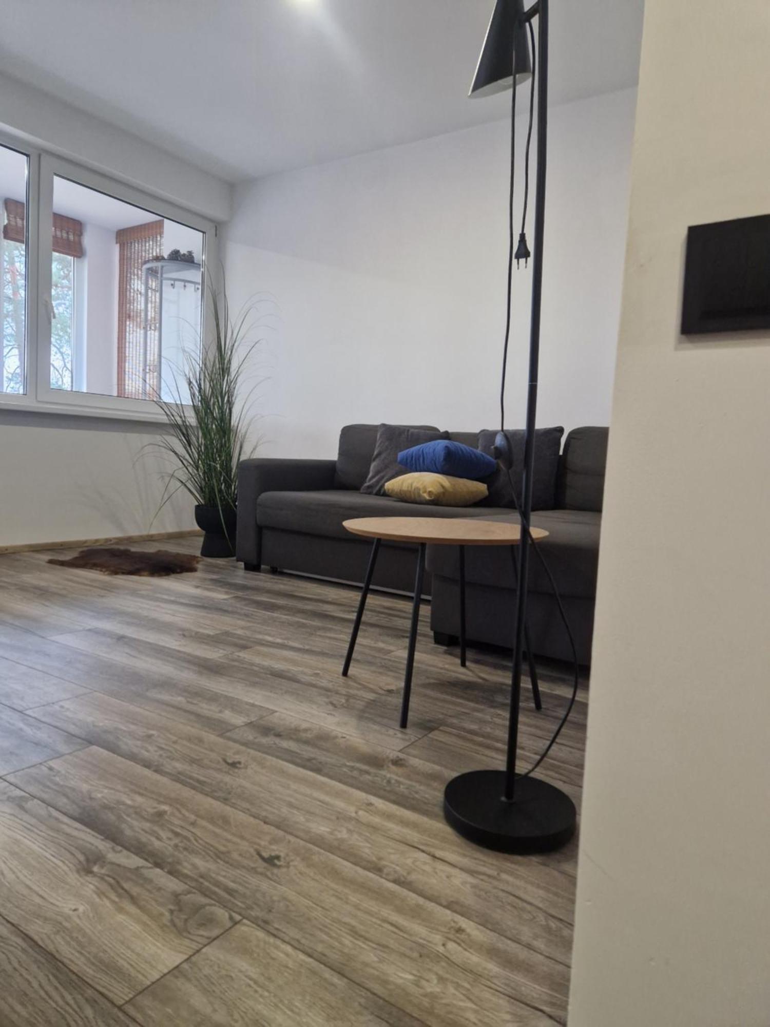 Duplex Apartment Vilte Druskininkai Exterior photo